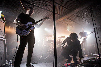the wombats